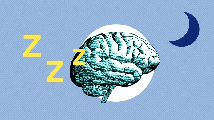 Sleep and the Brain 