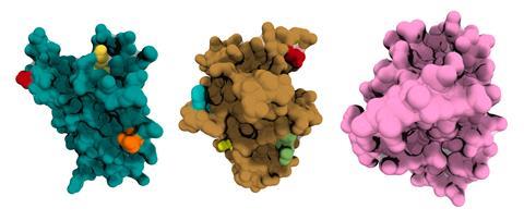 An image showing Bright Peak protein structures