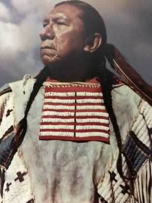 Living descendant of Sitting Bull confirmed by analysis of DNA from the legendary leader’s hair