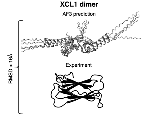 Proteins with multiple structures open up AlphaFold’s black box