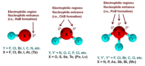 Three molecular models showing the increasing number of regions of delta plus charge on the X atoms of XY, X one Y two and X one Y three