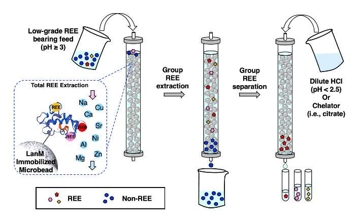 Graphene Oxide Sponge Efficiently Recovers Gold from E-Waste