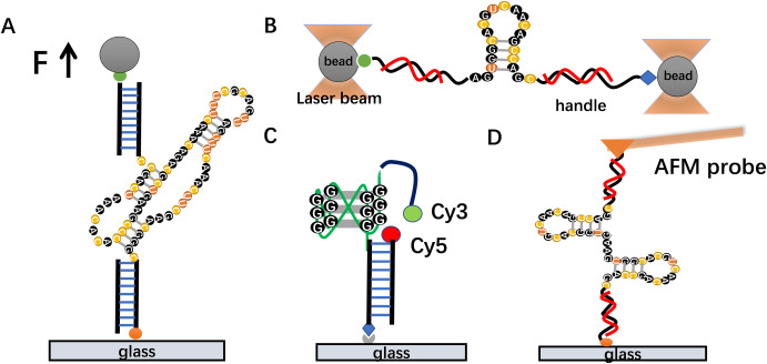 "AI-Driven Instrument Constructs Molecules Gradually Employing Fragment-Based Method"