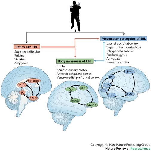 "Comprehending Nonverbal Communication: An Overview of Body Language and Implicit Cues"