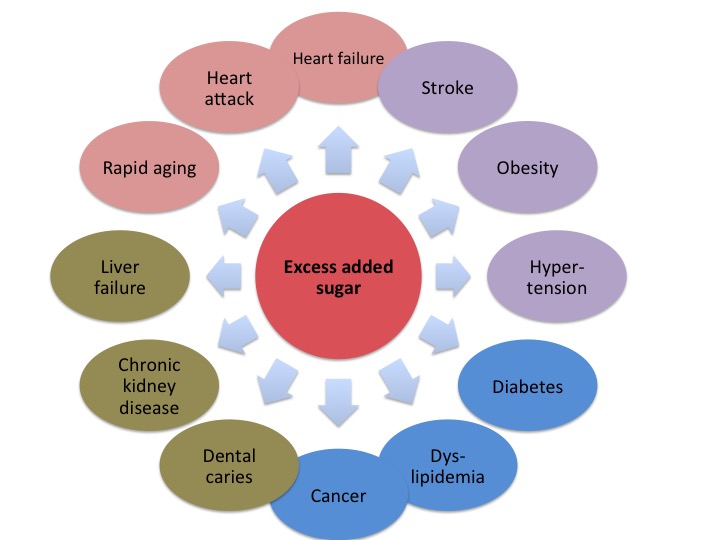 Conventional Heart Attack Care Might Present Overlooked Dangers for Survivors