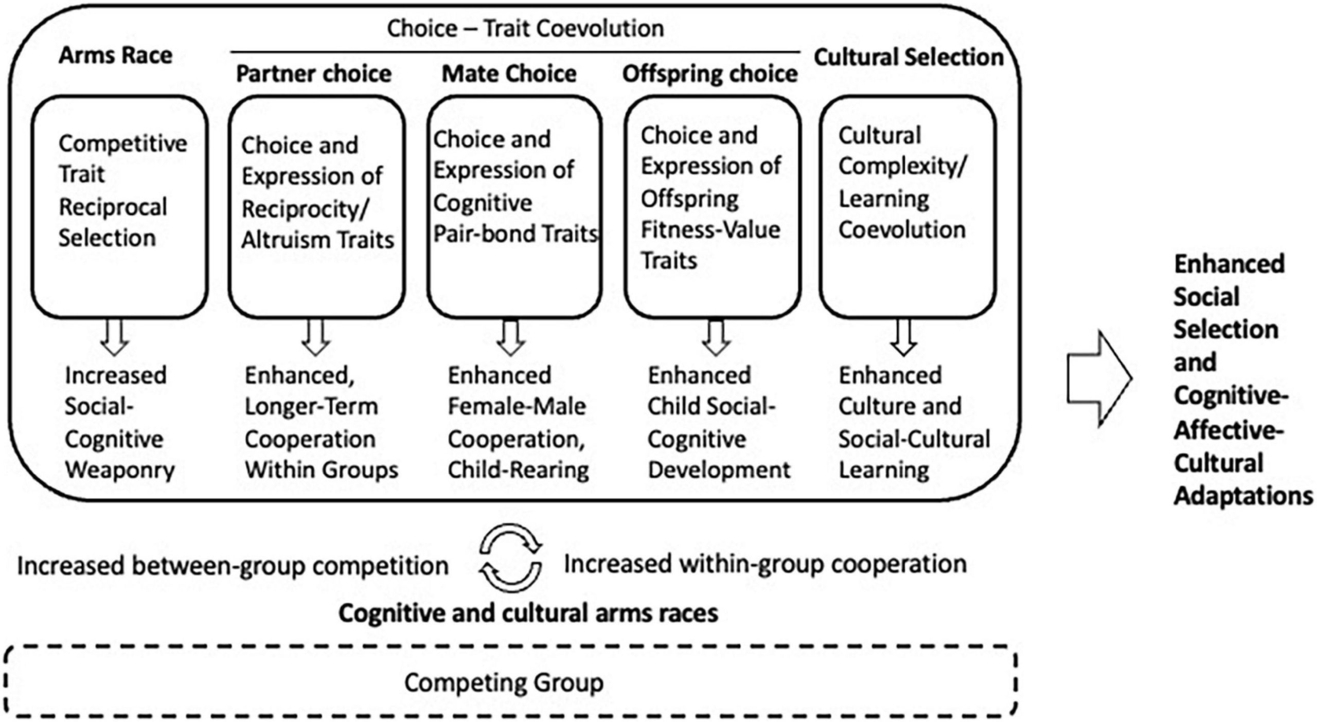 Decision-Making Framework: The Selection Engine