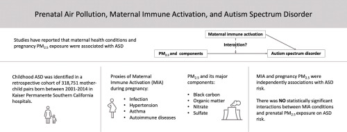 Elevated Autism Risk Associated with Air Pollution Exposure in Pregnancy and Early Childhood