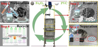 "Employing Magnetic Nanoparticles for the Efficient Removal of Detrimental Microplastics from Water"