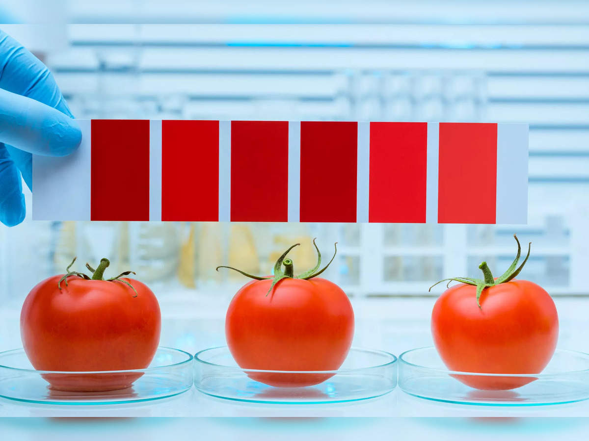 "Gene Modification Boosts Tomato Sweetness by Focusing on Two Particular Genes"