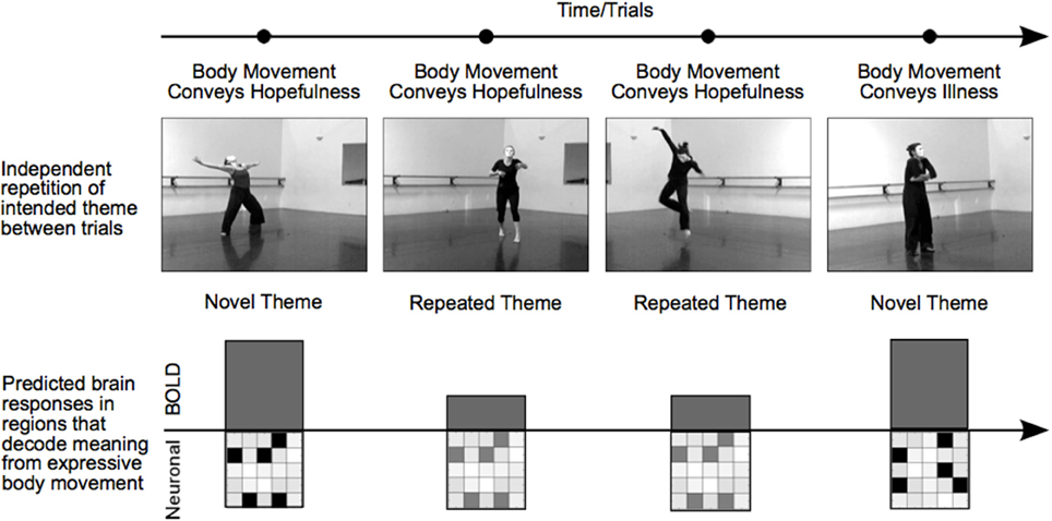 Grasping Nonverbal Communication: The Influence of Body Language and Implicit Signals