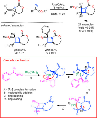 Innovative Synthetic Techniques Overcome Bredt's Rule to Facilitate the Creation of Intricate Bridgehead Alkenes