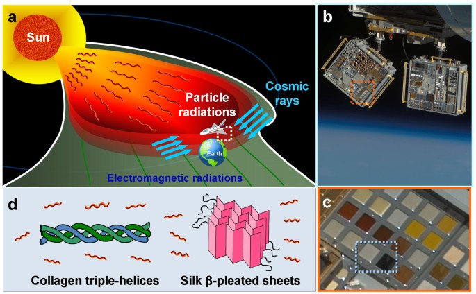 "International Space Station to Assess Novel Polymers in Harsh Environmental Conditions"