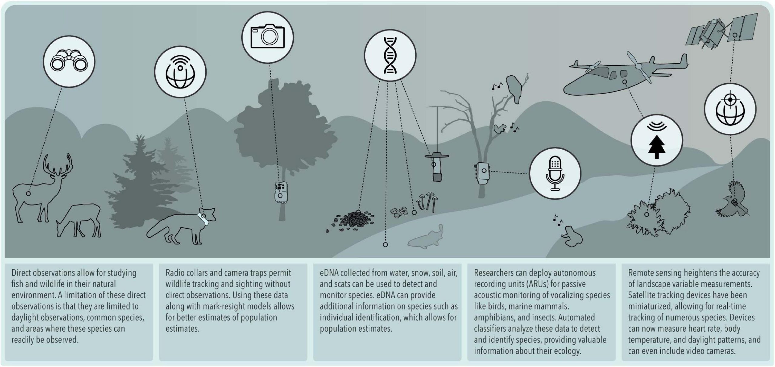 Investigating Animal Perceptions: Comprehending Skills Beyond the Fundamental Five