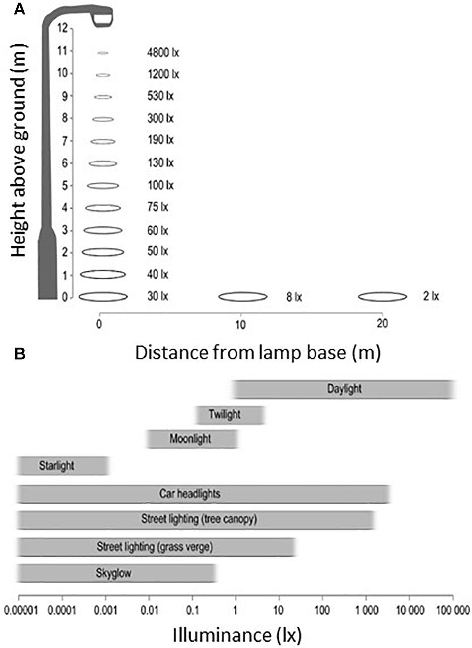 "Investigating Animal Perceptions: Exceeding the Conventional Five Senses"