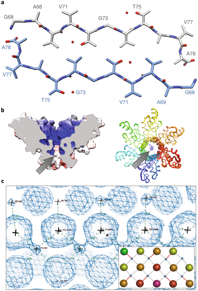 Microcrystal Electron Diffraction Set to Transform Protein and Small Molecule Investigation