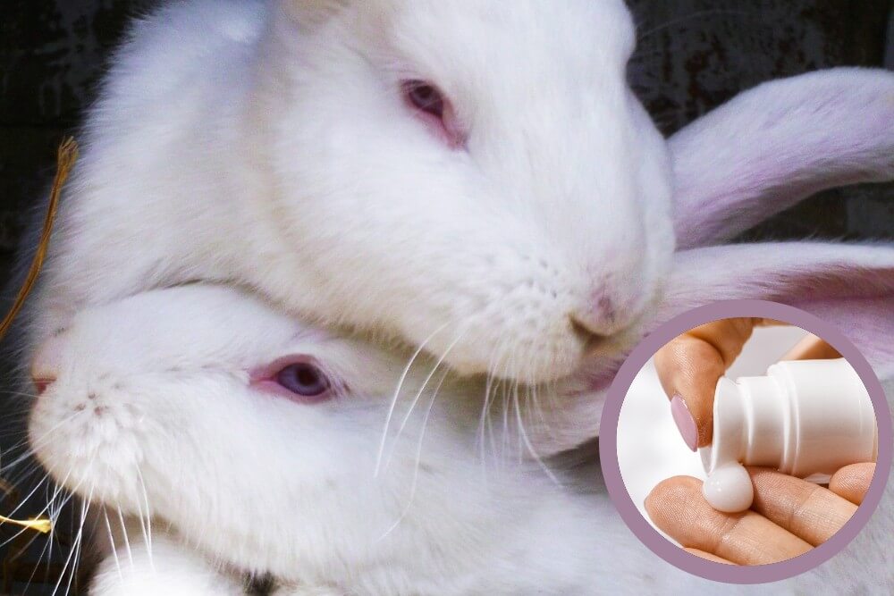 New Guidelines to Assist UK in Moving Away from Animal Testing for Chemical Safety Evaluations