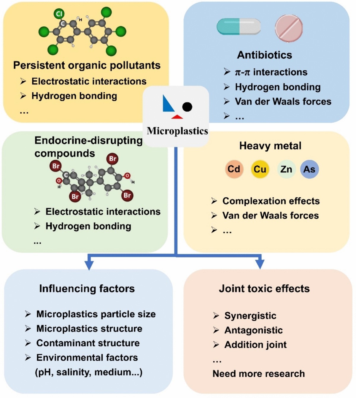 Research Demonstrates Nanoplastics Influence on Diminishing Antibiotic Efficacy and Elevating Bacterial Resistance