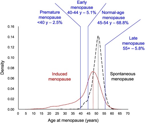 Research Reveals Hormone Treatment for Early Menopause Has No Impact on Long-Term Memory or Cognitive Abilities