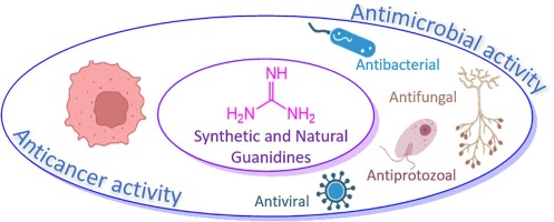 Structure of Natural Anti-Cancer Compound Revealed After Ten Years of Research