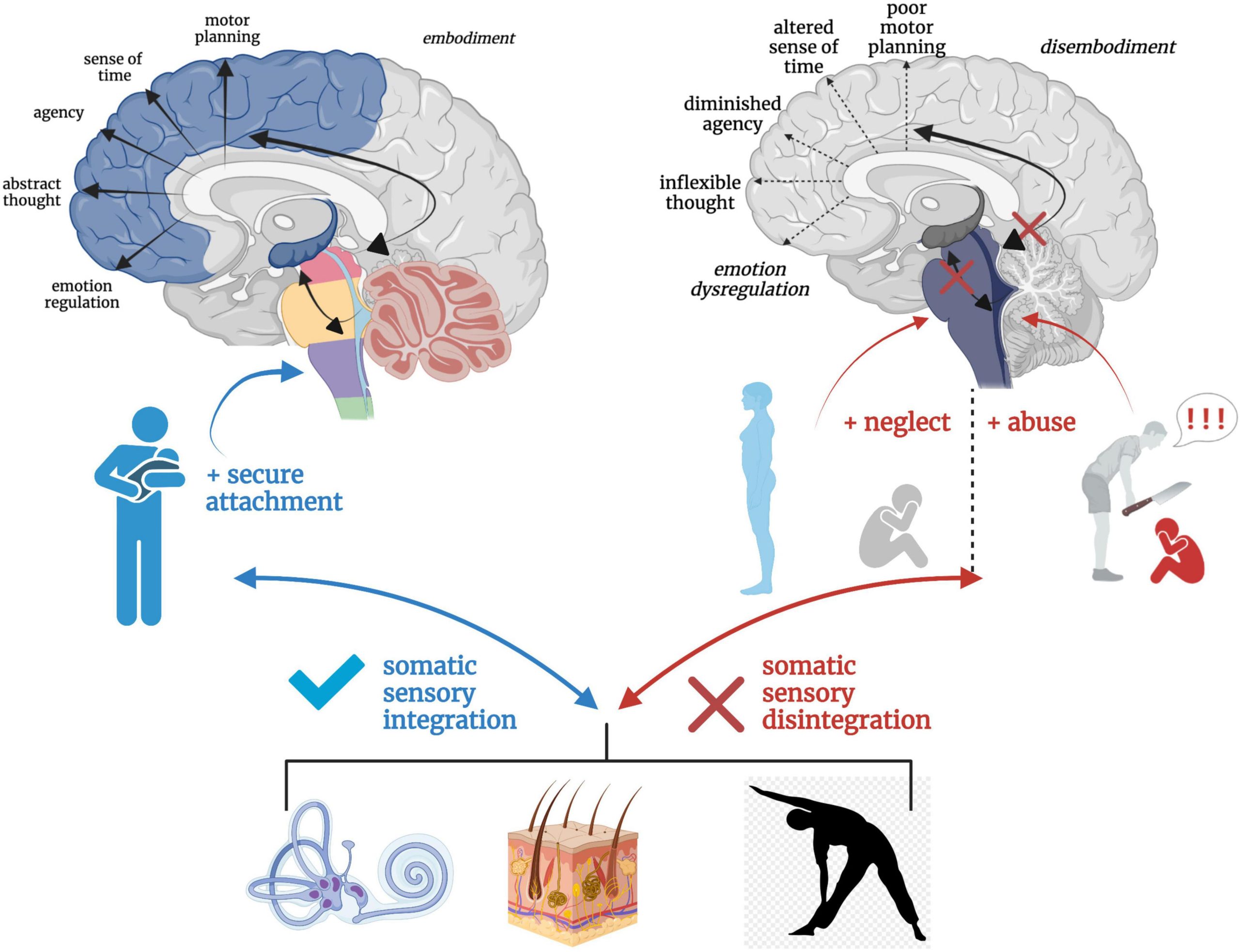 Swift Restructuring of Initial Brain Networks During the Transition at Birth