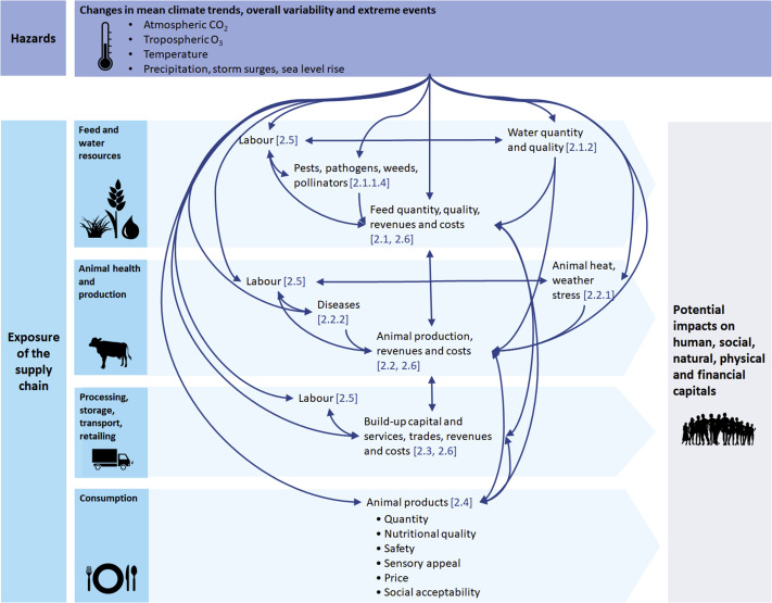 The Combined Effects of Climate Change and Conflict on At-Risk Communities