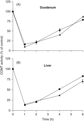 The Function of Dopamine and Serotonin in Learning: Grasping the Brain's Equilibrium Between Stimulation and Restraint