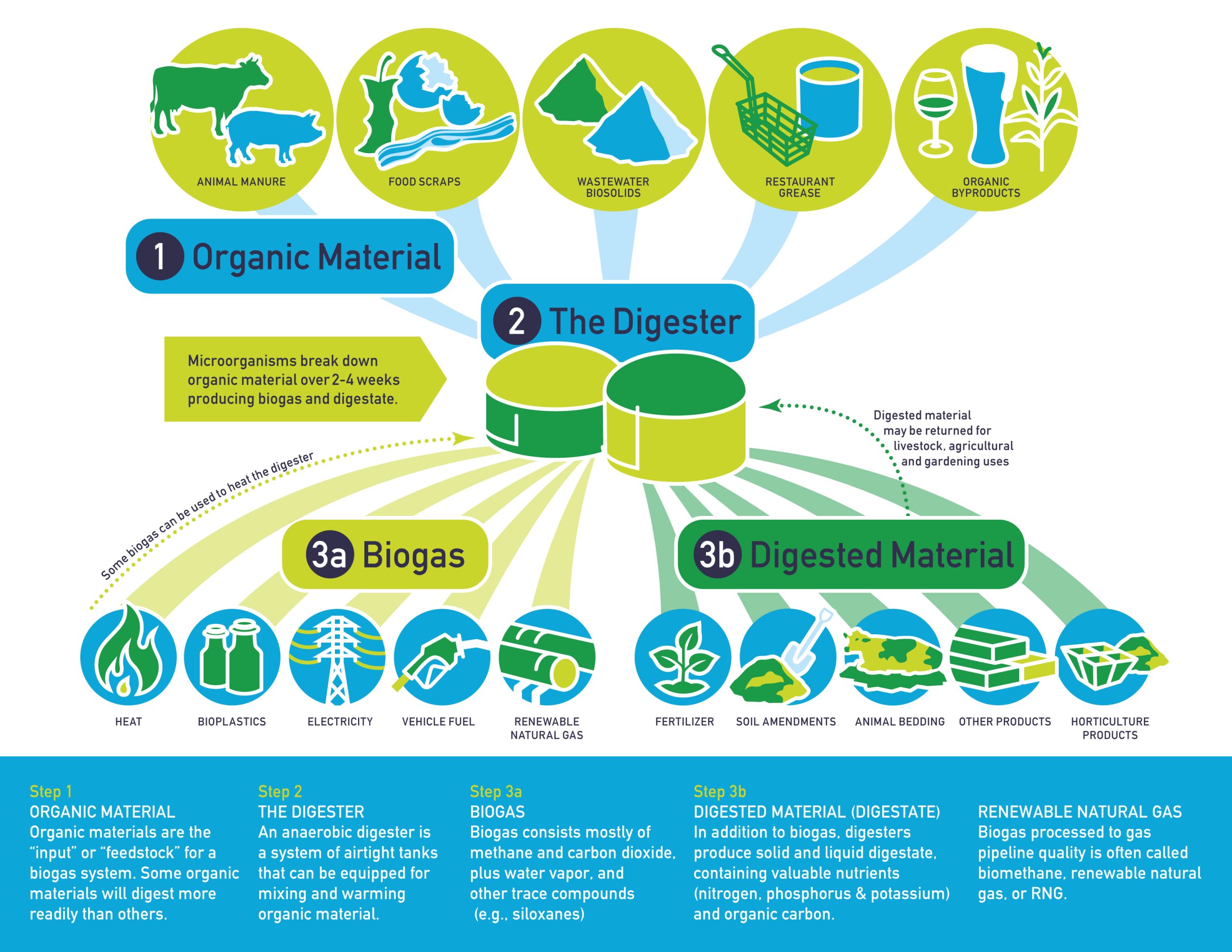 Transforming Carbon Emissions into Renewable Methane Energy