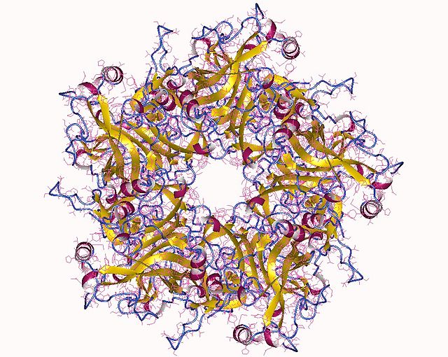 "Almost 20% of the Worldwide Population Under 50 Affected by Genital Herpes (HSV)"