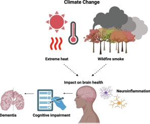 "Escalating Wildfires and Extended Pollution Exposure Associated with Higher Risk of Early Mortality"