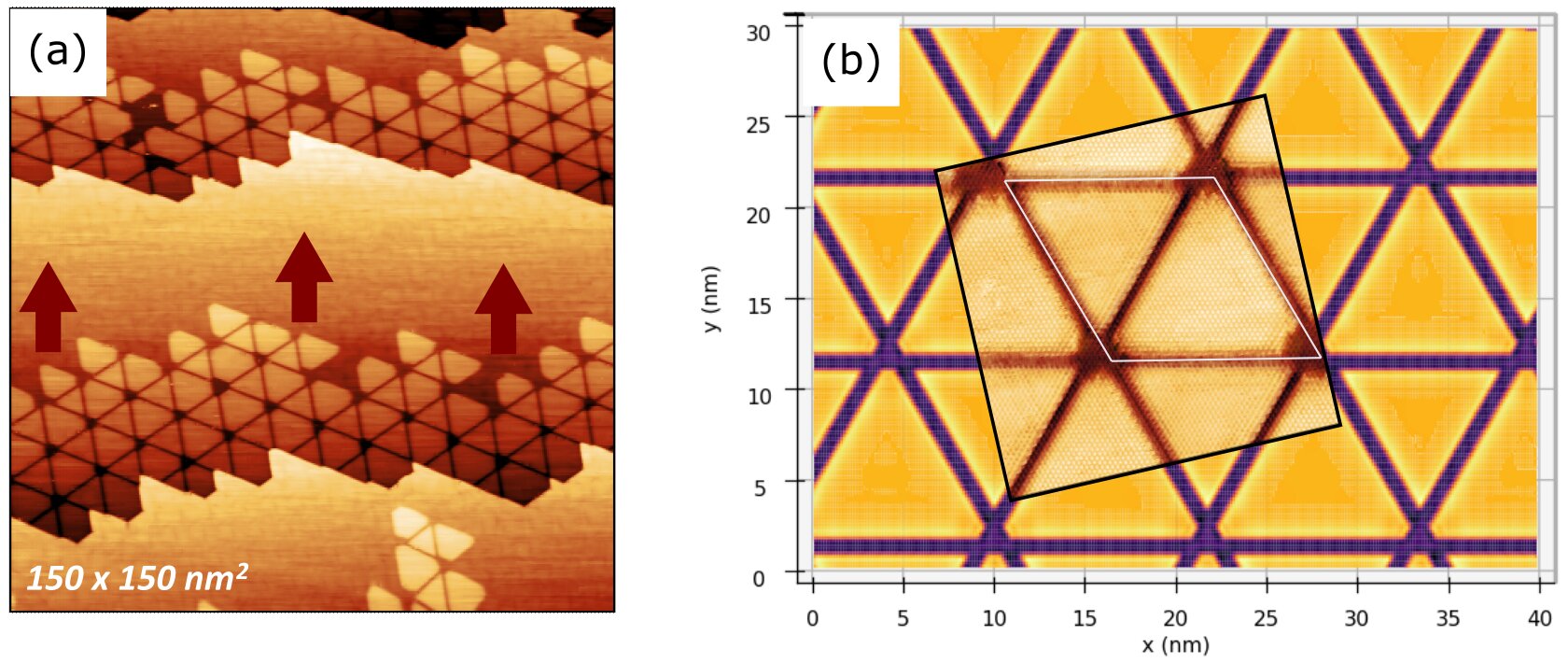 "Gold Monolayers Provide Innovative Platform for Investigating 2D Metal Characteristics"