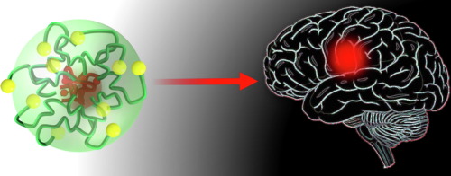 "How Brain Tumors Take Advantage of the Body's Internal Clock to Speed Up Growth"