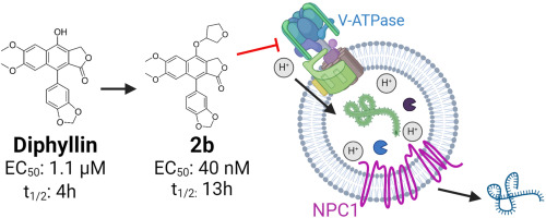 "Incorrect pKa Values in Chemical Databases Could Compromise Drug Development Initiatives"