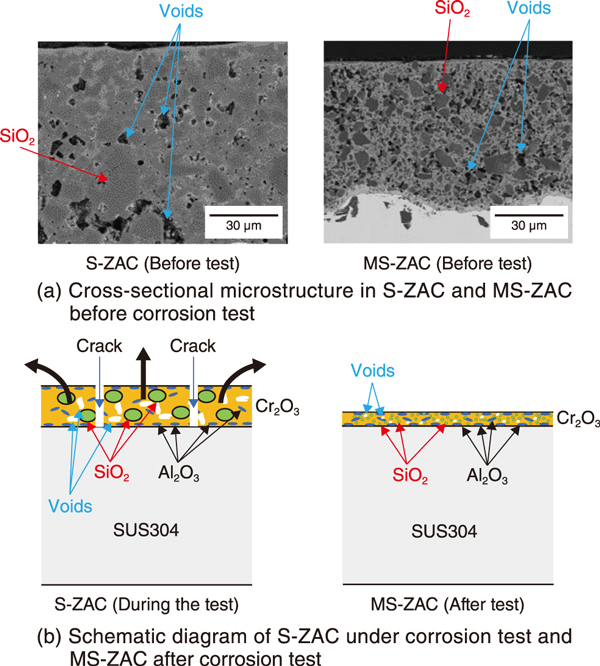 "Investigating the Lab Leak Hypothesis: Possible Concealment or Valid Investigation?"