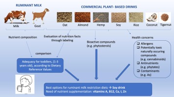 Research Shows Nutrient Depletion in Plant-Based Milk Alternatives as a Result of Processing