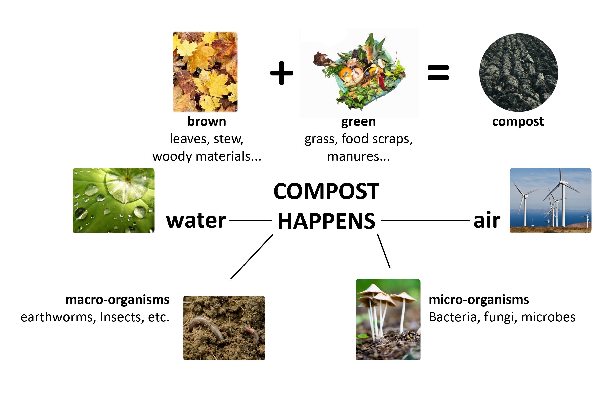 "Dynamic Carbon Ring Enables Evaluation of Cutting-Edge Weed Management Approaches"