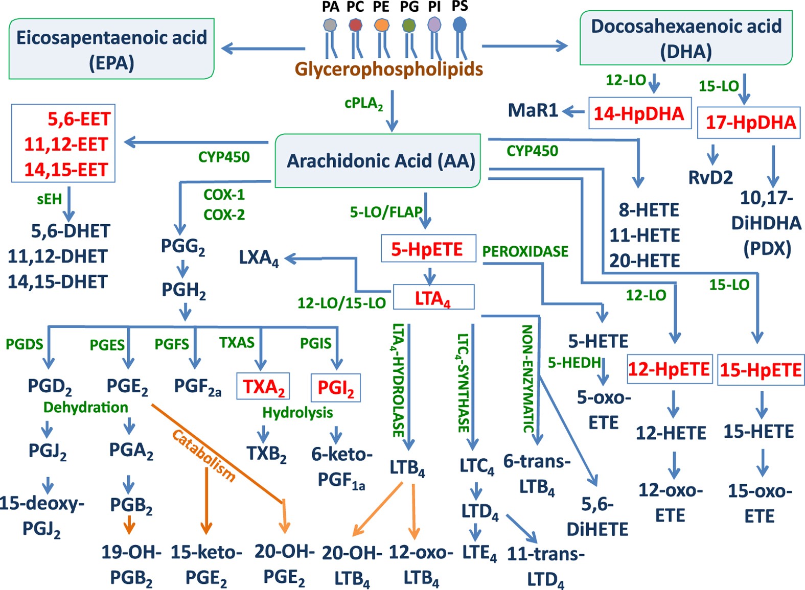 "Quantitative Mass Spectrometry Method Attains Efficient High-Throughput Analysis"