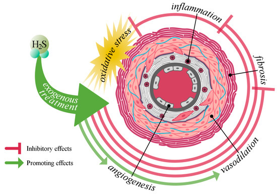 Researchers Create Initial Possible Antidote for Hydrogen Sulfide Toxicity