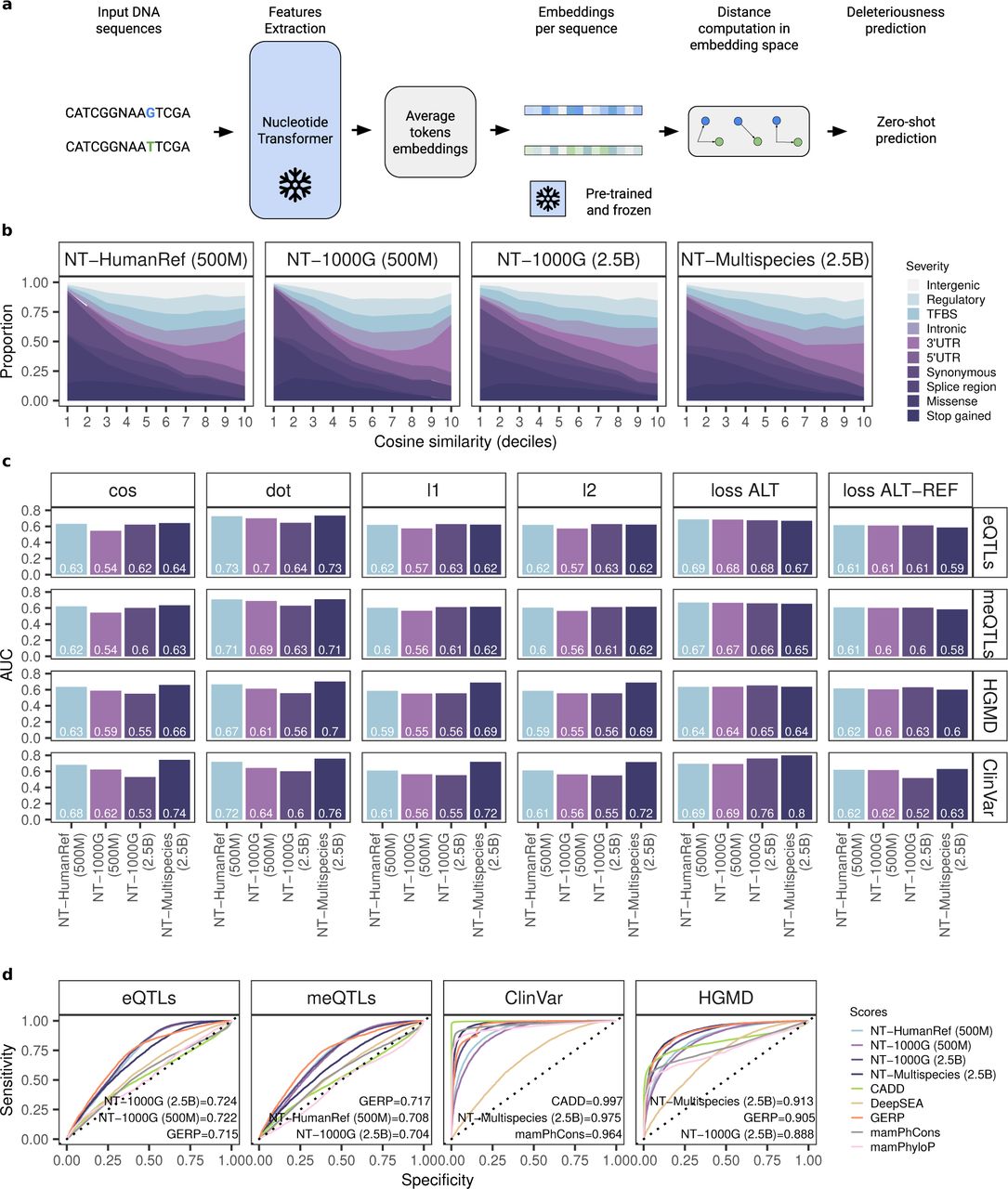 AI Model Influenced by AlphaFold Forecasts Chromatin Configurations in Chromosomes