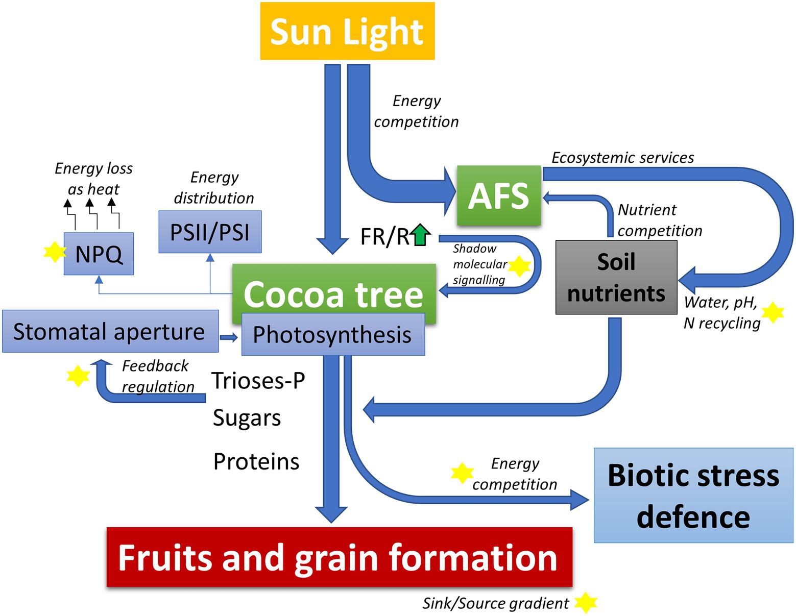 Key Obstacles for Solar Fuel Devices Emphasized After Heavy Rain Deteriorates Man-Made Tree