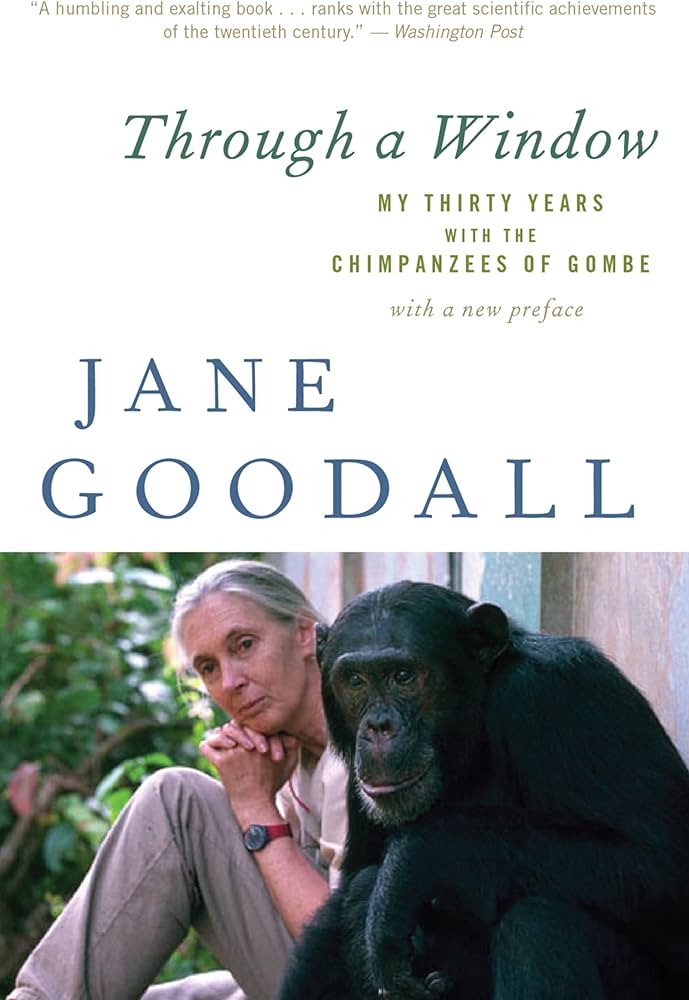Chimpanzees Noticed Sharing Fermented Fruit During Collective Feeding Sessions