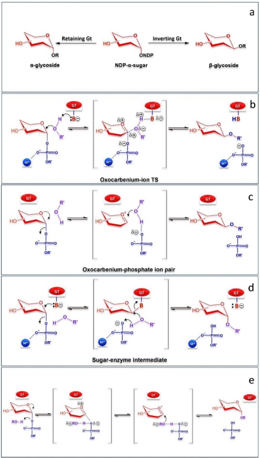 Enzyme-Mimicking Ligand Distinctly Discriminates Among Basic Alkyl Groups