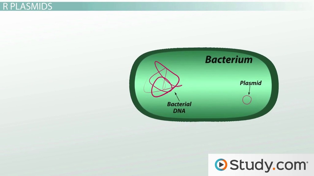 How Bacteria Utilize a Time-Honored Defense Mechanism to Resist Viruses