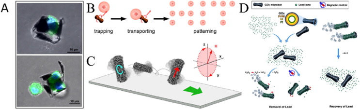 Magnetic Microrobots Promote the Development of Brain Cells
