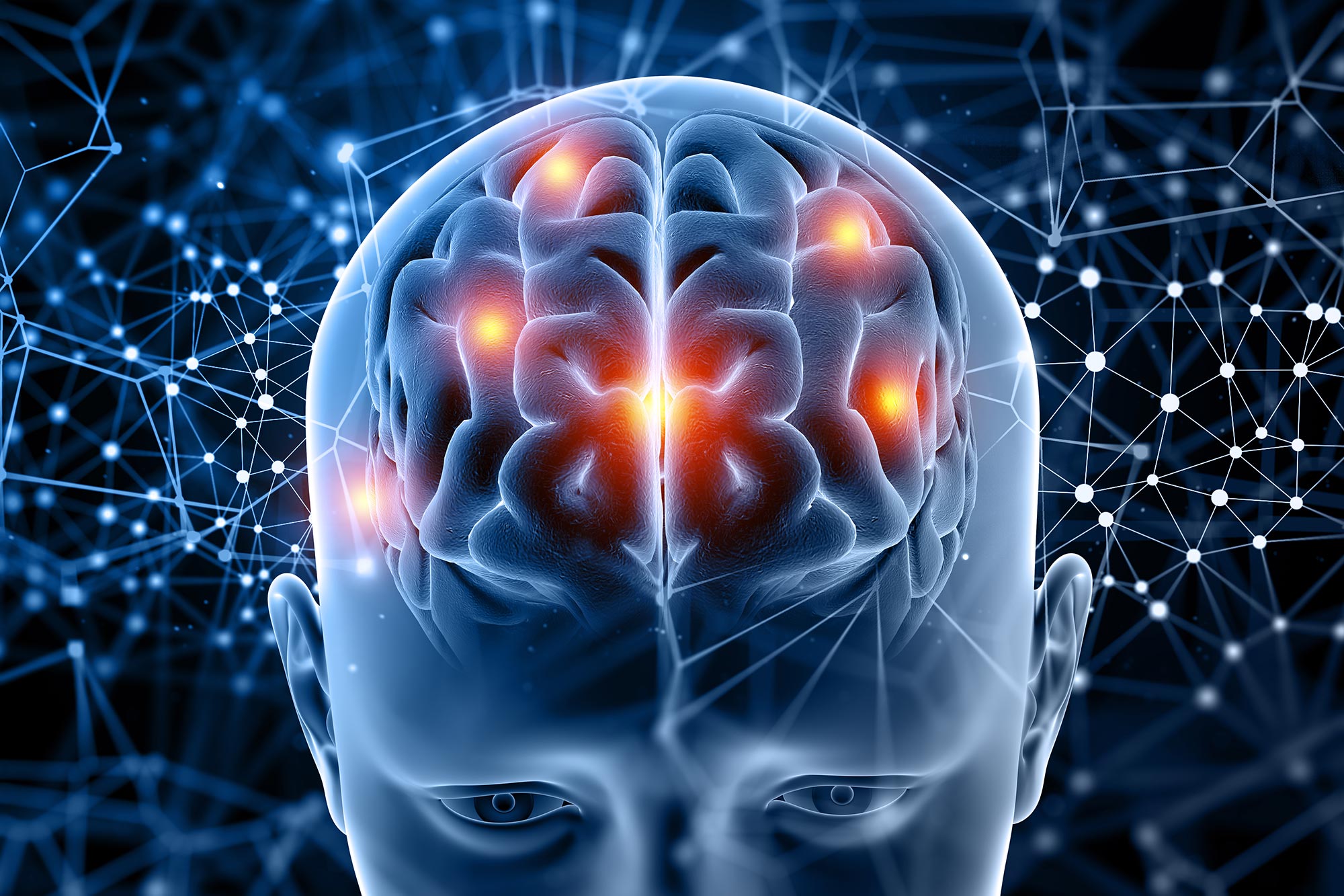 New Discoveries Regarding Brain Connections Question Prominent Theories of Awareness