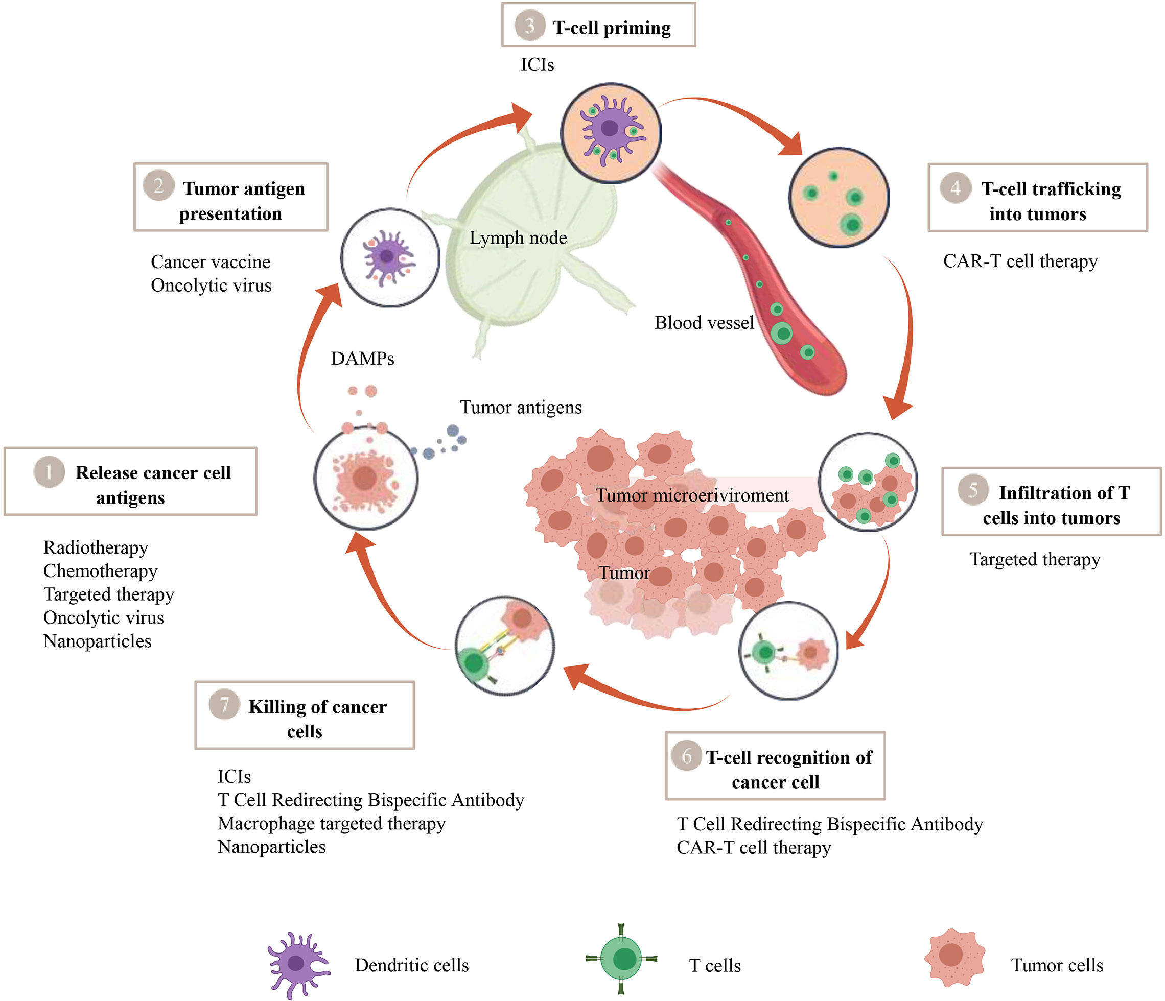 Protein Mechanism Transforms Non-Responsive Tumors into Immunotherapy-Responsive Tumors