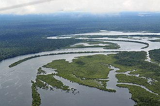 Amazon Rainforest Demonstrates Drought Resilience Yet Experiences Decrease in Carbon Storage Ability