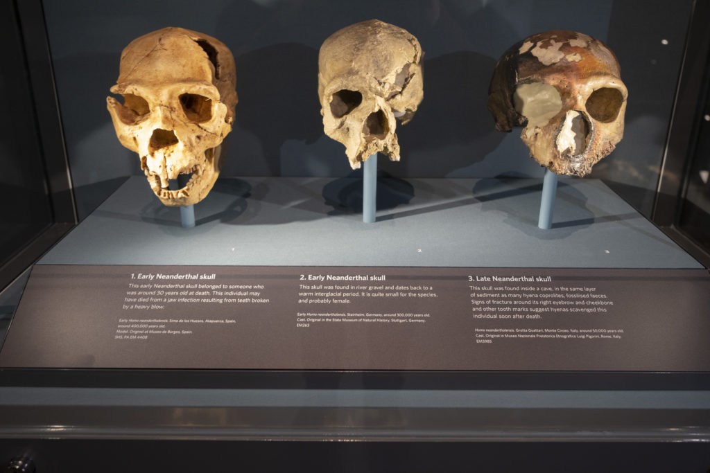 Ancient Genetic Mutation from 7,000 Years Ago Offers HIV Resistance to Millions