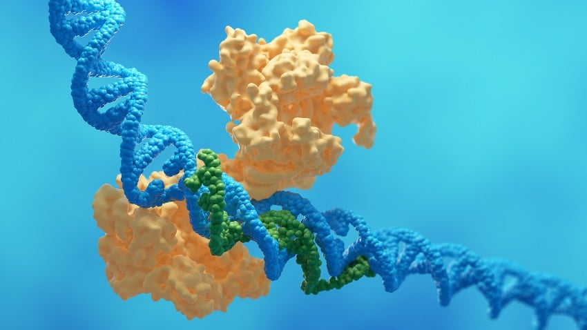 Bacterial Cells Participate in Molecular Rivalry to Fight Viral Infections