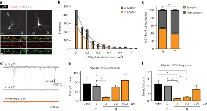 Charting Neural Cell Links and Biochemistry at Unmatched Molecular Clarity