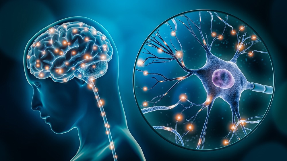 Enlarged Brain Network Could Suggest Heightened Risk of Depression Long Before Symptoms Develop